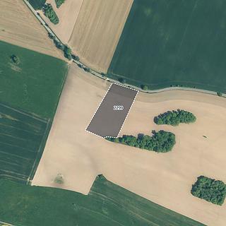 Prodej zemědělské půdy 10 118 m² Tchořovice