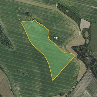 Prodej zemědělské půdy 45174 m&sup2; Petříkov