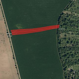 Prodej zemědělské půdy 7 186 m² Kyjov Bohuslavice