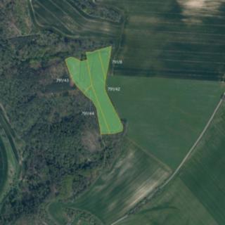 Prodej zemědělské půdy 22290 m² Drahobuz