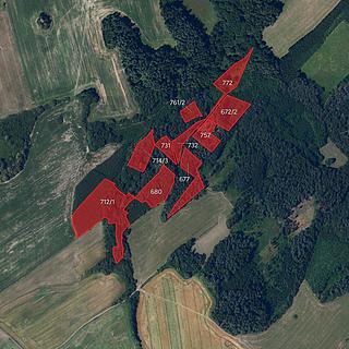 Prodej lesa 39 942 m² Proseč Česká Rybná