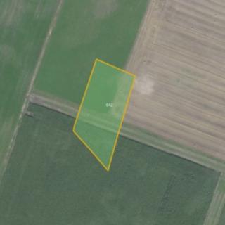 Prodej zemědělské půdy 7028 m² Jestřabí Lhota