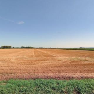 Prodej zemědělské půdy 4 033 m² Oplocany
