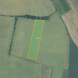 Prodej zemědělské půdy 3008 m² Vítonice