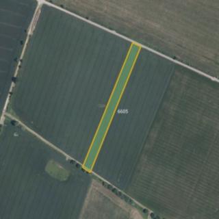 Prodej zemědělské půdy 4 767 m² Mohelno