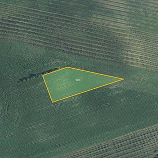 Prodej zemědělské půdy 3948 m² Hovorany