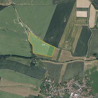 Prodej louky 87 920 m² Přeštice Skočice