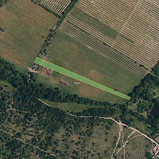 Prodej zemědělské půdy 4877 m&sup2; Popice