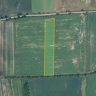 Prodej zemědělské půdy 7763 m² Milotice