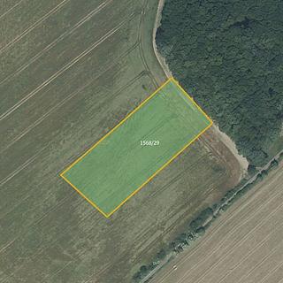 Prodej zemědělské půdy 7 289 m² Hrabyně