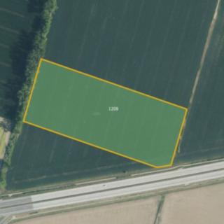 Prodej zemědělské půdy 29 859 m² Kroměříž Bílany