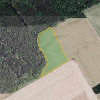 Prodej zemědělské půdy 3 103 m² Líský