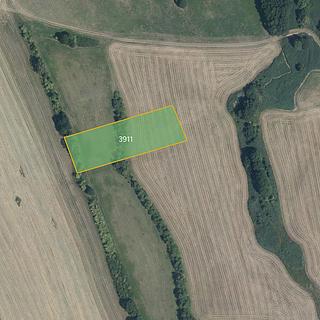 Prodej zemědělské půdy 5 653 m² Nový Malín
