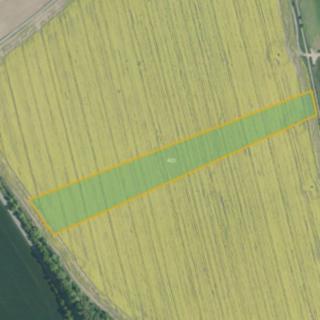 Prodej zemědělské půdy 10 692 m² Nezamyslice Těšice