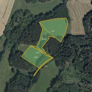 Prodej louky 14 976 m² Oldřiš