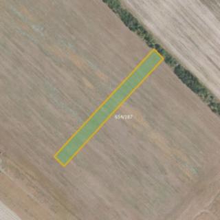 Prodej zemědělské půdy 3784 m² Všetaty