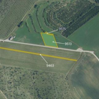 Prodej ostatních pozemků 6008 m² Kobylí