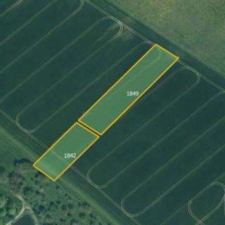 Prodej zemědělské půdy 8 248 m² Soběkury Horušany