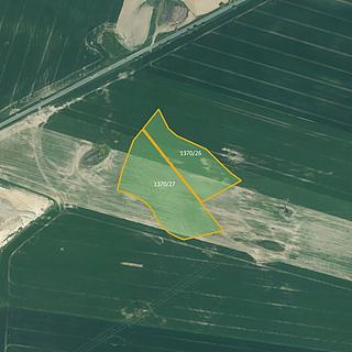 Prodej zemědělské půdy 25302 m² Bor