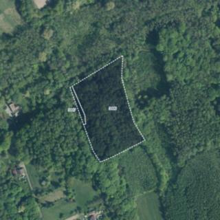 Prodej lesa 10811 m² Doubrava