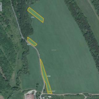 Prodej louky 7 447 m² Nivnice