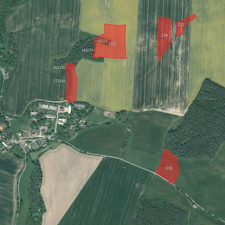 Prodej zemědělské půdy 34 145 m² Hostouň Holubeč