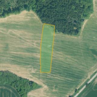 Prodej zemědělské půdy 6 032 m² Sedlice Mužetice