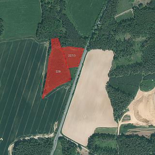 Prodej lesa 15 277 m²