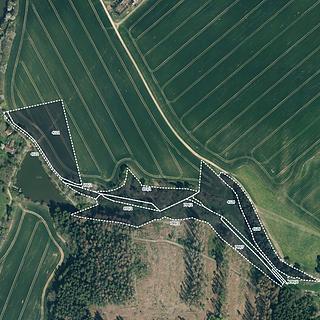 Prodej louky 46047 m² Kamberk