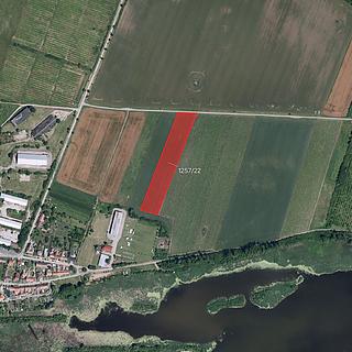Prodej zemědělské půdy 12 651 m² Sedlec