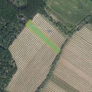 Prodej ostatního pozemku 3 552 m² Znojmo Popice