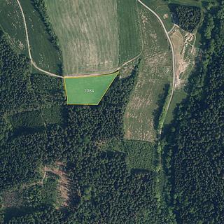 Prodej louky 7 640 m² Jílové u Držkova