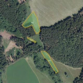 Prodej louky 8 373 m² Hlinsko Chlum