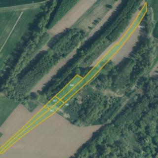 Prodej zemědělské půdy 15478 m² Dolní Lutyně