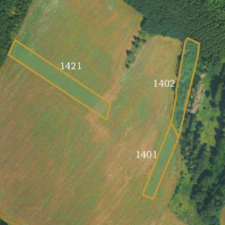 Prodej zemědělské půdy 12 039 m² Krasová