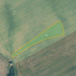 Prodej zemědělské půdy 6765 m² Bystřice pod Hostýnem