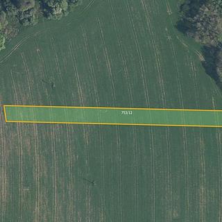 Prodej zemědělské půdy 3846 m² Sedliště