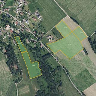 Prodej louky 11 111 m² Jílové u Držkova