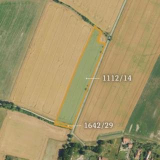 Prodej zemědělské půdy 39 803 m² Dolní Roveň Horní Roveň