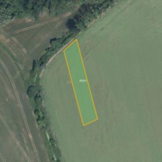 Prodej zemědělské půdy 11 657 m² Majetín