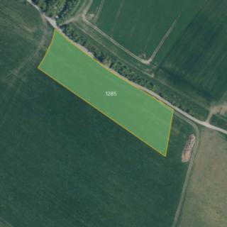Prodej zemědělské půdy 7602 m² Liblice