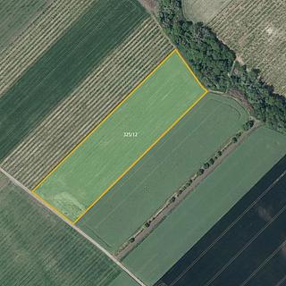 Prodej zemědělské půdy 21 043 m² Želkovice