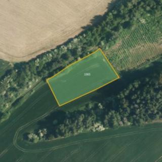 Prodej zemědělské půdy 16 169 m² Březí