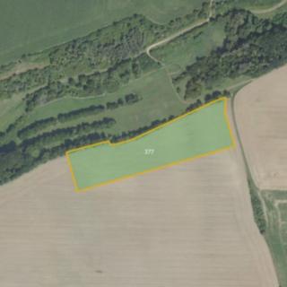 Prodej zemědělské půdy 37 639 m² Černíky