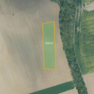Prodej zemědělské půdy 3 831 m² Dnešice