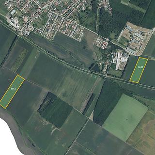 Prodej zemědělské půdy 68733 m² Březí