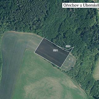 Prodej zemědělské půdy 12328 m² Ořechov
