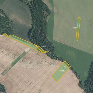 Prodej zemědělské půdy 6 896 m² Džbánice