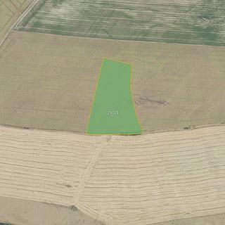 Prodej zemědělské půdy 10 521 m² Malá Hraštice
