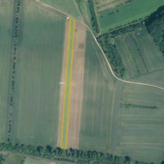 Prodej zemědělské půdy 2 411 m² Moravský Písek